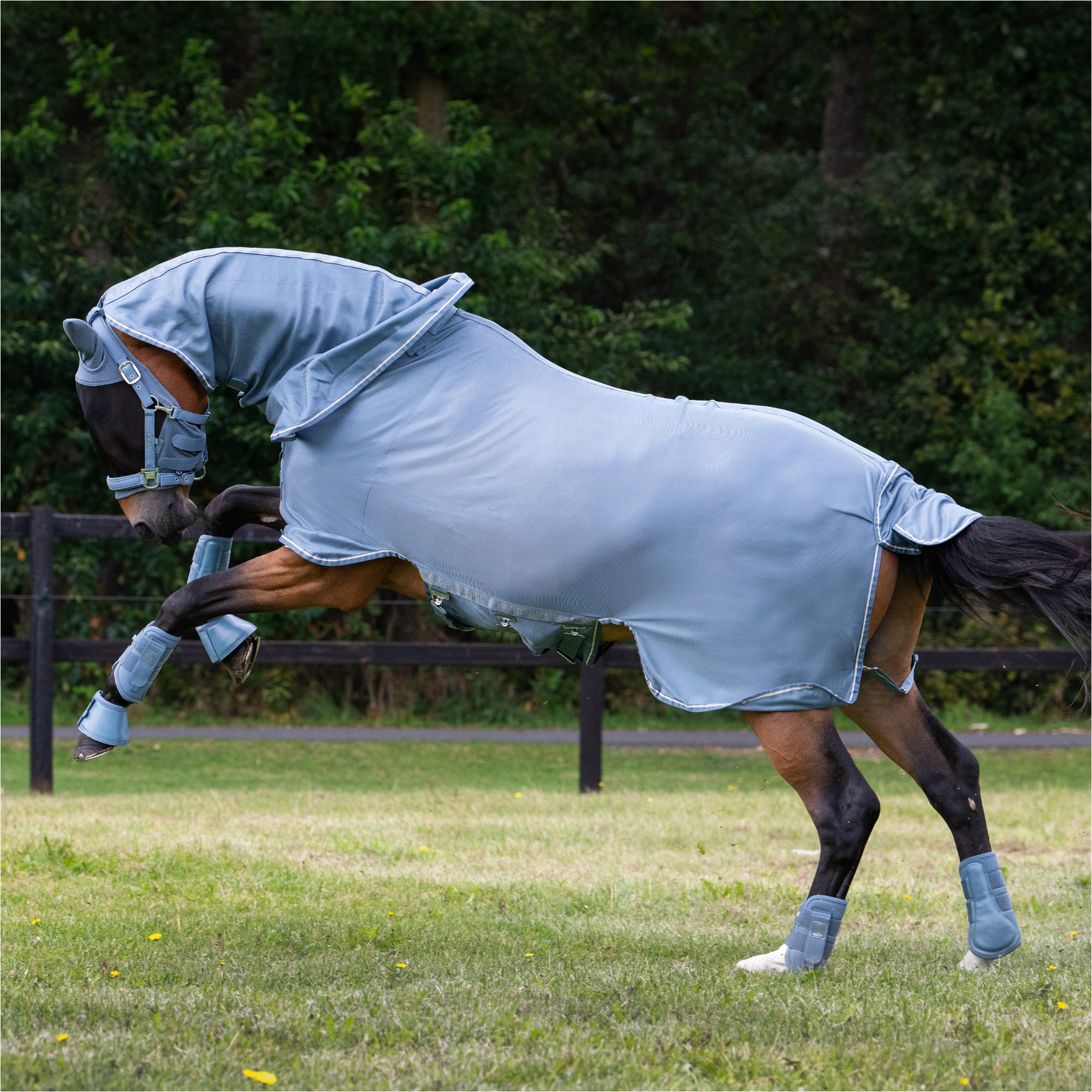 2025 Eskadron Fly Detach-Neck Fly Rug 135075 376 - Steel Blue